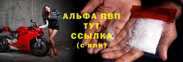 прущие грибы Балахна