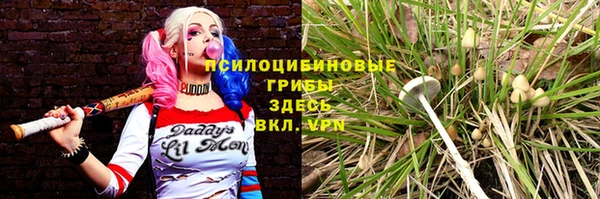 мескалин Аркадак