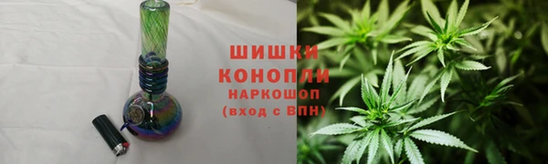 спайс Арсеньев