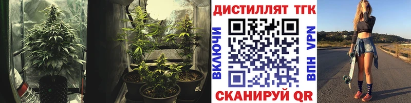 ТГК THC oil  Купить где  Алексеевка 